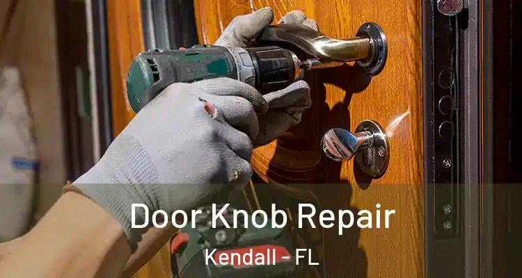 Door Knob Repair Kendall - FL