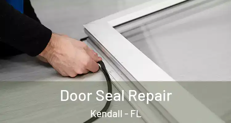 Door Seal Repair Kendall - FL