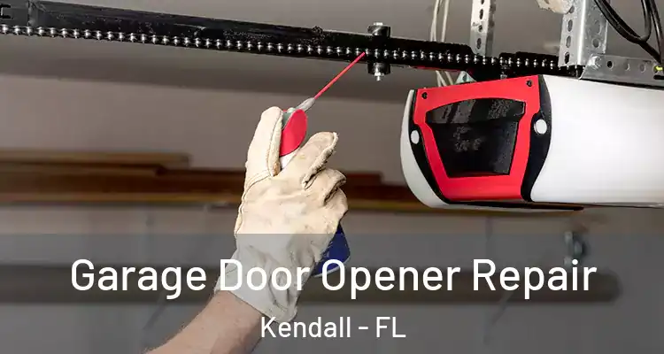 Garage Door Opener Repair Kendall - FL