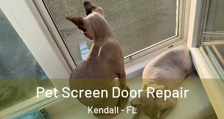 Pet Screen Door Repair Kendall - FL