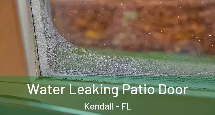Water Leaking Patio Door Kendall - FL